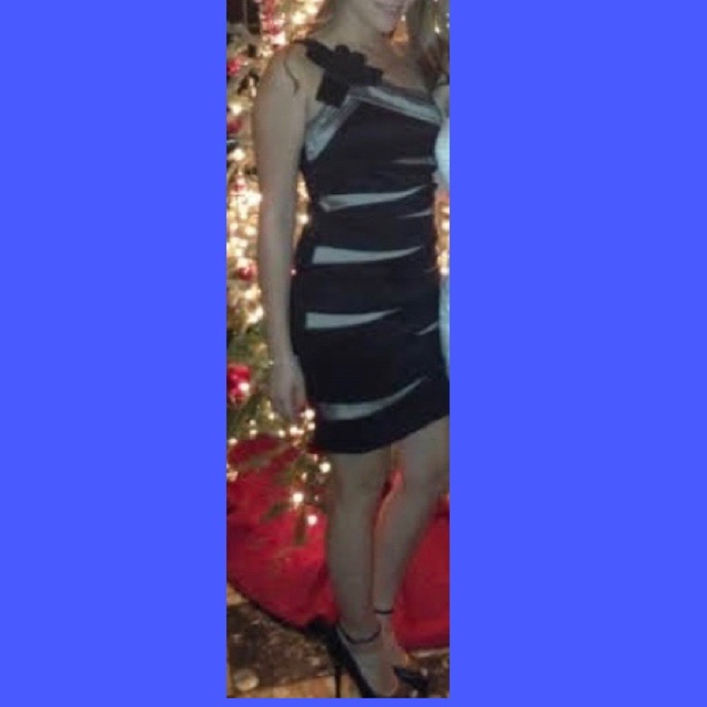 Party Dress - Picture 4 of 4